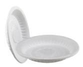 ظرف گیاهی